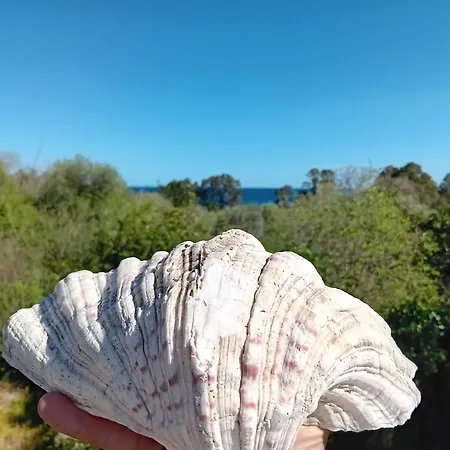 Apartamento Brezza Marina