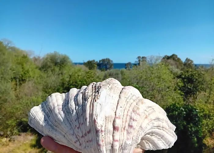 アパート Brezza Marina