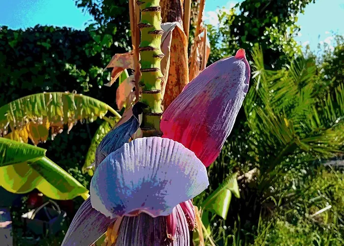 アパート Brezza Marina ジャルディーニ・ナクソス